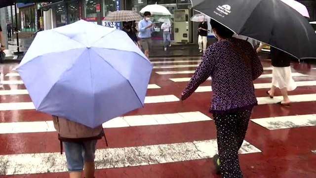 [날씨] 오늘 흐리고 중부 약한 비...서해안 짙은 안개 / YTN