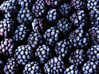 Frozen Berries Sold at Wal-Mart, Save-A-Lot Recalled for Possible Norovirus Risk
