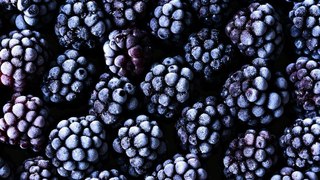 Frozen Berries Sold at Wal-Mart, Save-A-Lot Recalled for Possible Norovirus Risk