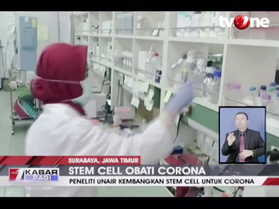 Peneliti Unair Kembangkan Stem Cell untuk Corona