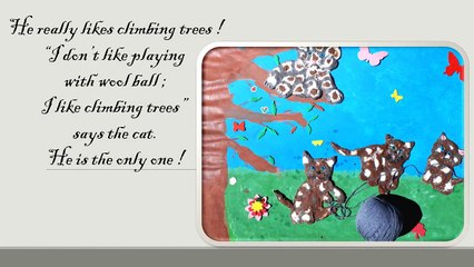 The Cat Who Didn't Like Wool Ball-1