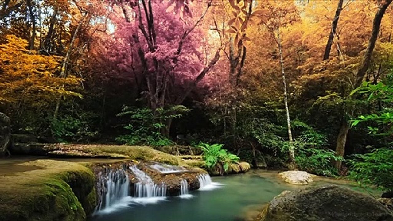 MUSICA PARA MEDITAR 20 MINUTOS - RELAJACION - TERAPIA DE MUSICA - FRECUENCIA ARMONIZADORA