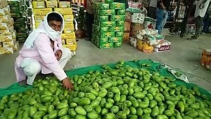 दो माह से ज्यादा समय बाद मंडी में शुरू हुआ व्यापार, कोरोना का असर आया नजर