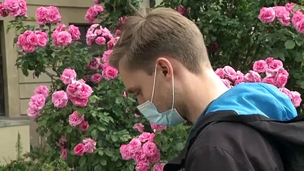 'Beste Corona-App der Welt' soll auch sicher sein