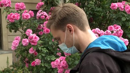 "Beste Corona-App der Welt" soll auch sicher sein