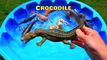 Wild Zoo Animals Toys Nursery Rhymes Learn Animals Names Education Toys for Kids