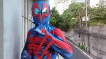 Real-Life Peter Parker Changes Into 41 Different Spiderman Costumes