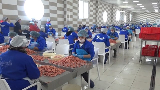 Ora News - “Rozafa” sqaron akuzat: Nuk marrim ujin e banorëve dhe nuk ndotim ambientin