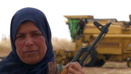 Kurdish women volunteer to protect crops from ISIL