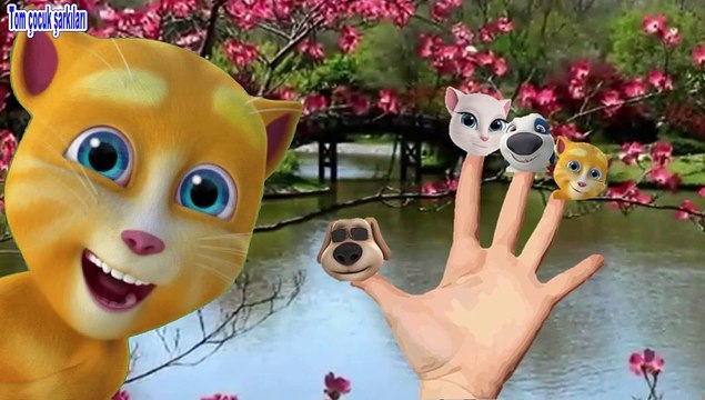 Türkçe parmak ailesi bebek şarkısı, Konuşan kediler şarkı söylüyor