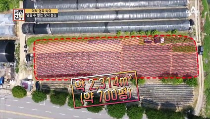 세상 부지런한 갑부^^ 일구는 텃밭만 약 700평?! (ft. 장사 본능)