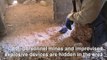 Landmines spell silent threat in Libyan former war zone