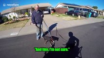 US biker records his adorable interactions with dogs he comes across
