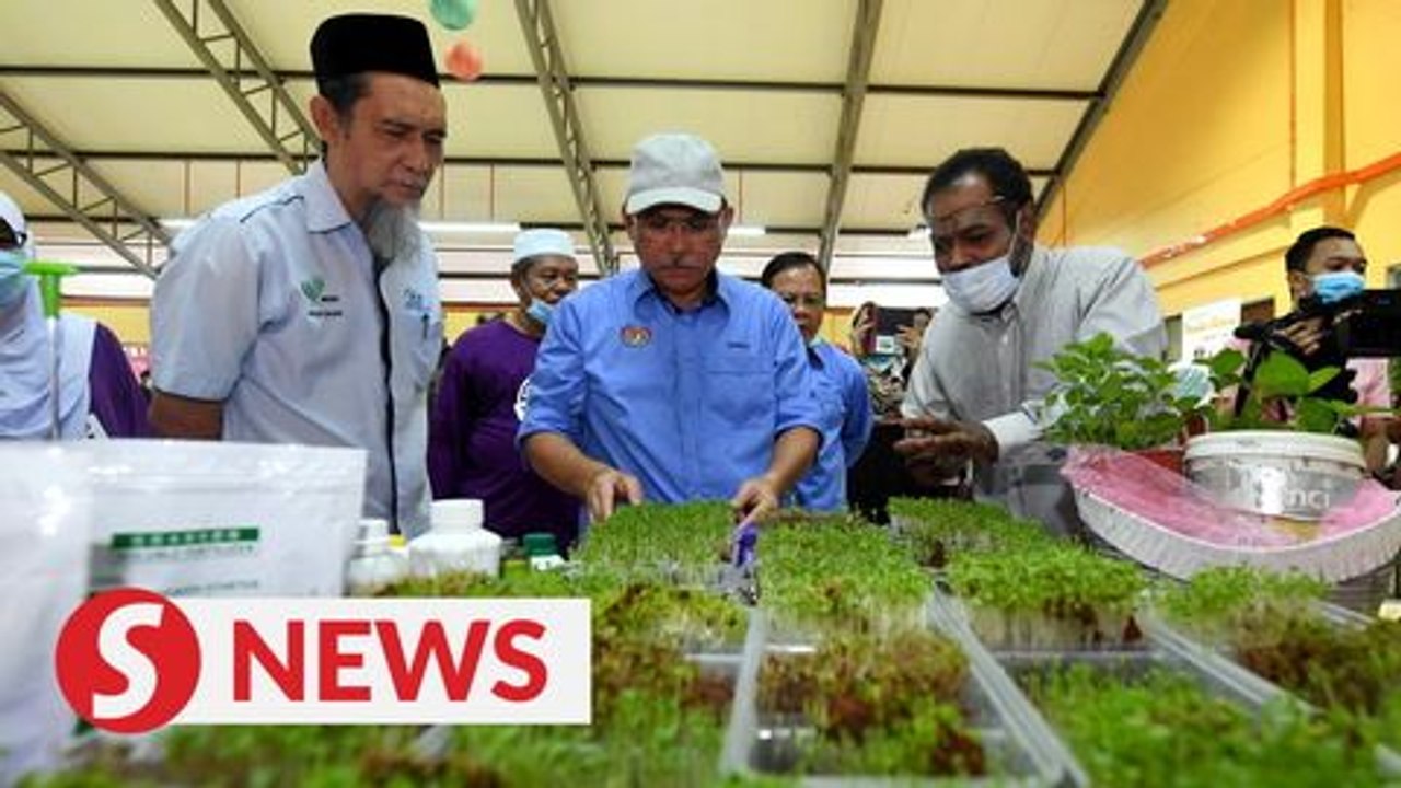 Keramat public housing residents’ urban farm a national model