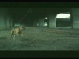 Commercials - Dog Suicide