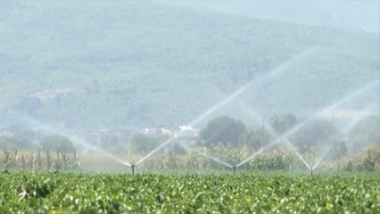 "Radoniqi Dukagjini" ujit më shumë se 5 000 hektar toka bujqësore-Lajme