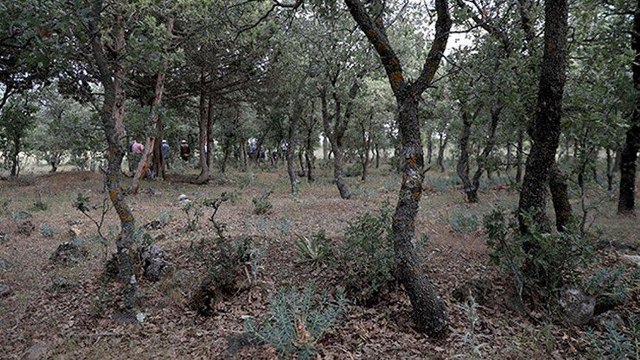 99 yıllık acı… Mezarları tespit edildi