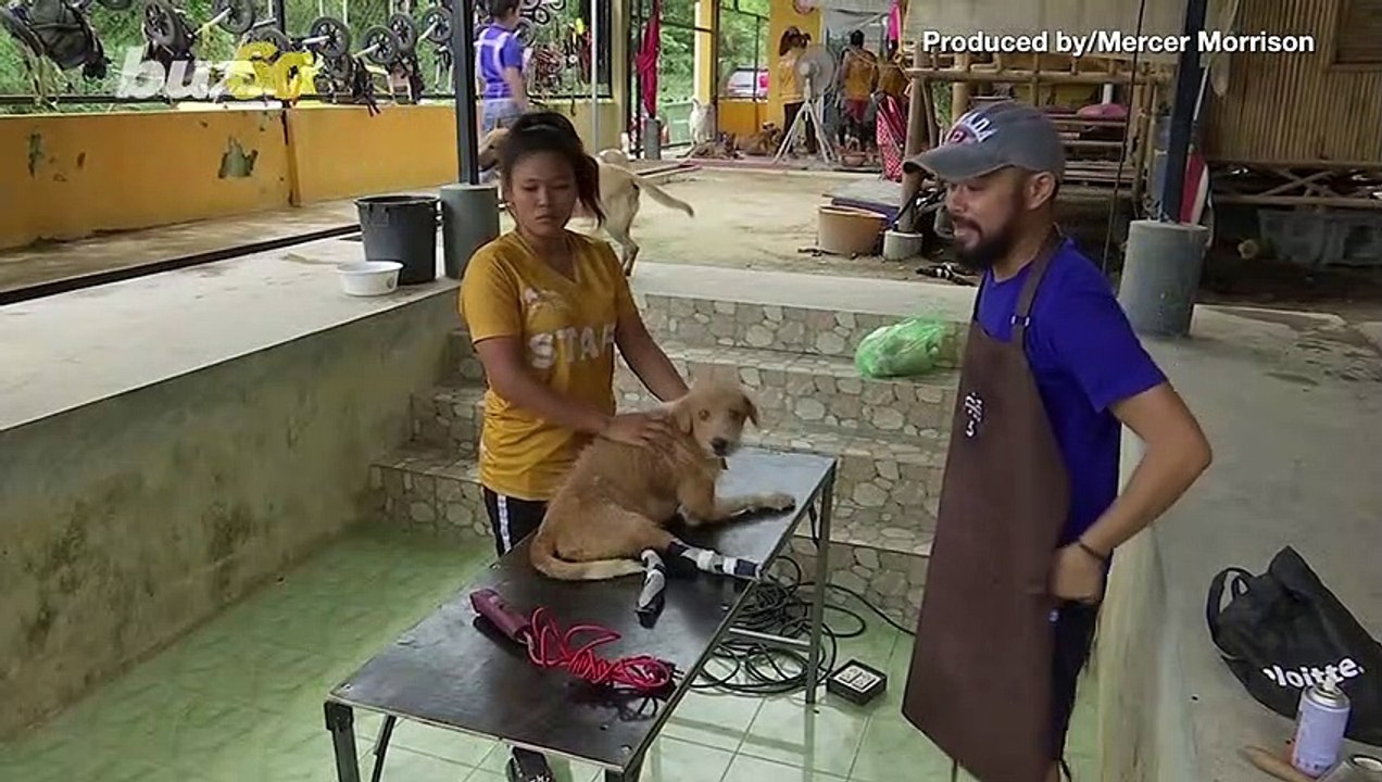 Volunteer Taiwanese Dog Groomer Returns as Lock...