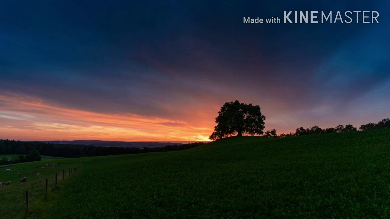 Beautiful natural video