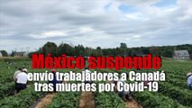 México suspende envío trabajadores a Canadá tras muertes por Covid-19