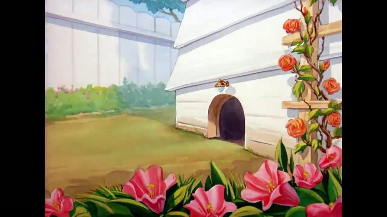 Tom & Jerry - Jerry and the Baby Woodpecker - Classic Cartoon
