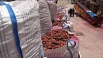 Yerli ve milli patates çiftçi yolunda