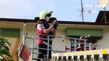 Güvercinin imdadına itfaiye ekibi yetişti