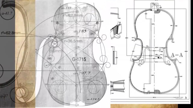 Os movimentos do arco do violino - Os 6 movimentos básicos do membro superior direito