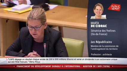 audition de Rémy RIOUX, directeur général de l'Agence française de développement - Les matins du Sénat (16/06/2020)