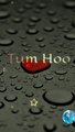 Muskurane ki Wajah Tum ho || Full screen status || citylight song whatsapp status | love song status