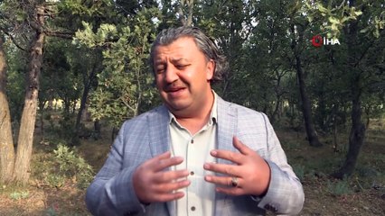 Yunanların 99 yıl önce yakarak katlettiği 83 Türkün mezar yerleri bulundu