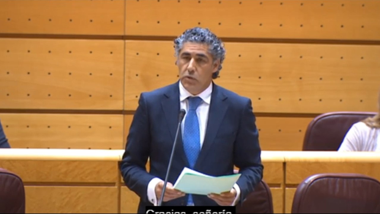 PP acusa al Gobierno de crear una "crisis constituyente que no existe"