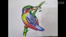 How to draw Kingfisher | Oil pastel painting | Step by step | For beginners