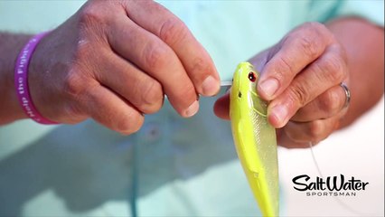 How to Rig a Zip-Tie Bridle for Live Bait