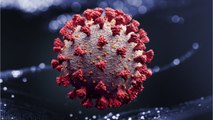 Texas Coronavirus Hospitalizations Hit New High