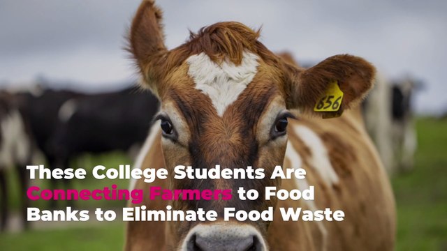 These College Students Are Connecting Farmers to Food Banks to Eliminate Food Waste