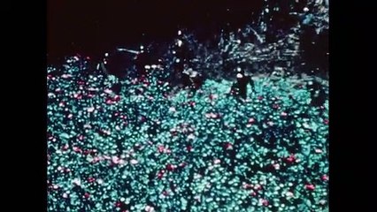 SEÑORES DE LA DROGA: Frank Lucas y los country boys los reyes de la heroína