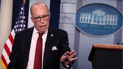 Larry Kudlow Says 'Systemic Racism' Doesn't Exist