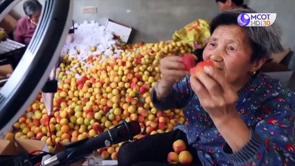 world today 16 มิ ย  63: หุ่นยนต์ตรวจคนไม่ใส่หน้ากากอานามัย