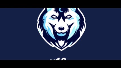 Puskas  award goals 2010-2019