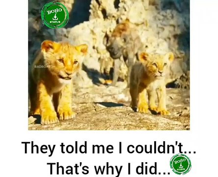 They told me i couldn't that's why i did whatsapp status | Motivational WhatsApp Status |New Motivational status