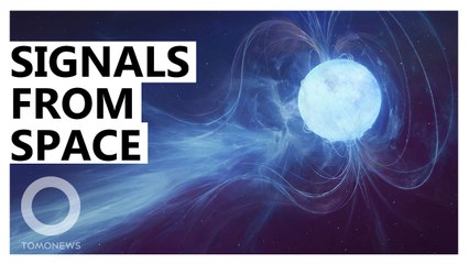 Highly Magnetized Star Detected as Source of Fast Radio Bursts