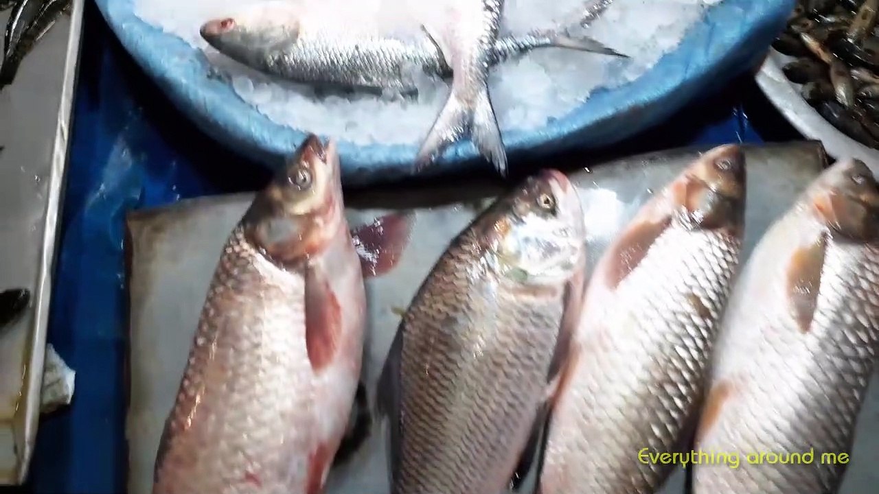 Formalin Free Fresh Desi fish on Bangladesh fish market
