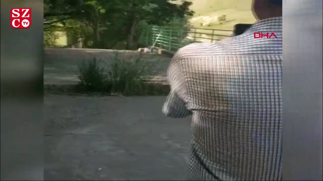 Mesire alanında yılanların çiftleşmesini görüntülediler