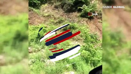 Ayıyı öpücük atarak çağırdılar