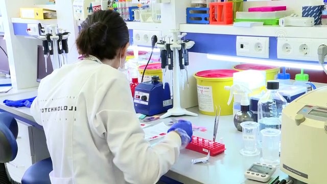 Bakan Varank, Kovid-19'a karşı aşı ve ilaç geliştirme çalışmalarını yerinde inceledi (1) - ANKARA