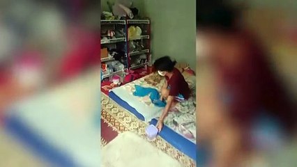 Huge King Cobra Caught Under Bedroom Shelves