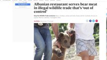 Media e huaja: Restoranti shqiptar gatuan mish ariu, shiten ilegalisht shqiponja, dhelpra e majmunë