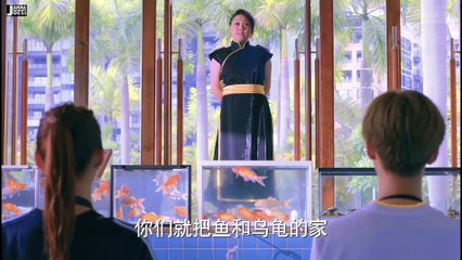 y2mate.com - New Korean Mix Hindi Songs 2020  Chinese Love Story Song.