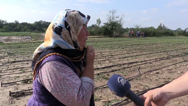 Kırklareli Ziraat Odası Başkanı Ekrem Şaylan: Yağmur, dolu, fırtına ve hortum hepsi bir arada geldi